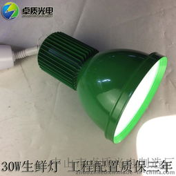 厂家直销 20w30w50w生鲜灯 超市水果蔬菜水产海鲜灯 商场猪肉灯图片,厂家直销 20w30w50w生鲜灯 超市水果蔬菜水产海鲜灯 商场猪肉灯高清图片 中山市卓质光电制造厂