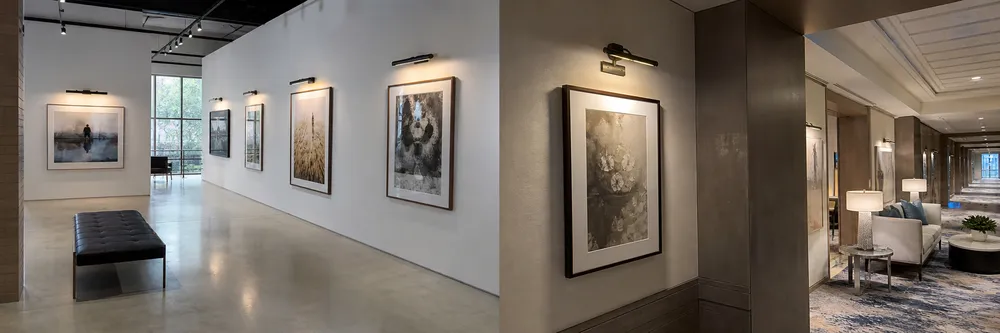 Art wall lighting installed across commercial gallery and luxury hospitality environments